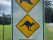 両方の動物注意並列看板は2か所しかないそうです