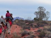 カタ・ジュタも観賞