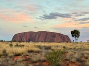 夕方のウルル