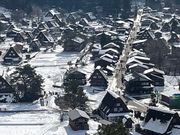 展望台からの眺め