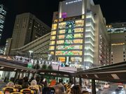 クリスマスツリーも見れました。