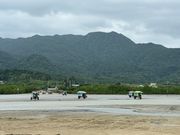 行き交う水牛車