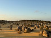 広大なピナクルズが望めました！