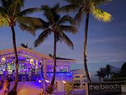 暗くなるとパリピな感じでそれもまたいい