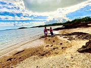 様々なサイズの天然記念物ヤドカリがたくさんいた！ガイドさんがオヤツとお茶をご馳走してくれた！