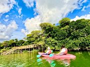 ガイドさんのお話(自然環境、稲作と宮廷料理など多岐にわたる)がとてもおもしろくてあっという間だった！