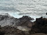 潮吹き岩 豪快なものは見れませんでした