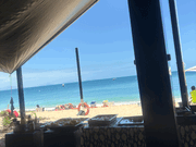 日陰がありがたい