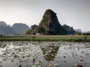 ハンムアの蓮の水田に映るニンビンの奇岩