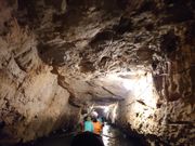 小舟で幾つもの狭い洞窟を抜けていきます！