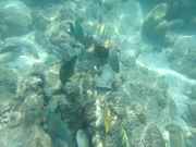 グリーン島ビーチ