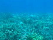 半潜水艦からの眺め