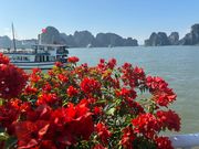 船のデッキから