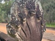 ベンメリアの欄干