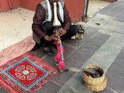 インドの蛇使い