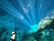 光のカーテンもバッチリ