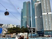 ケーブルカーを見上げて