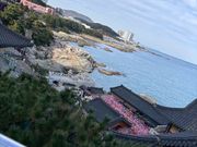 海東龍宮寺からの風景