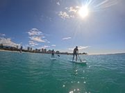 ダイアモンドヘッドショット