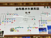 水牛ちゃんの家系図