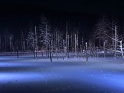 ライトアップ青池