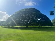 モアルアナガーデン