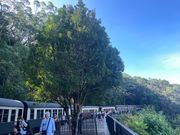 キュランダ鉄道途中駅で降りて記念撮影