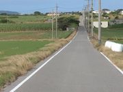 シュガーロード