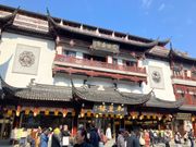 昼は、南翔饅頭店