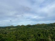 チョコレートヒルズ