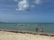 オーシャンパーク