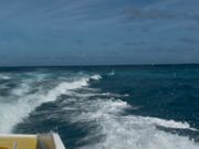 パラセーリング移動