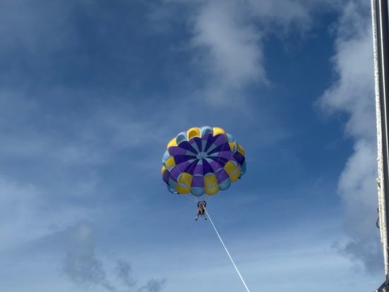 初めての空の旅