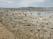 干潮時のマンタ浜(結構沖まで歩けます)