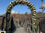 スタバへの道のり