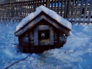 降車後の自由時間