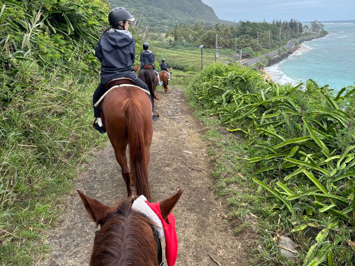 Things to Do in Oahu in 2026 – Tours & Activities