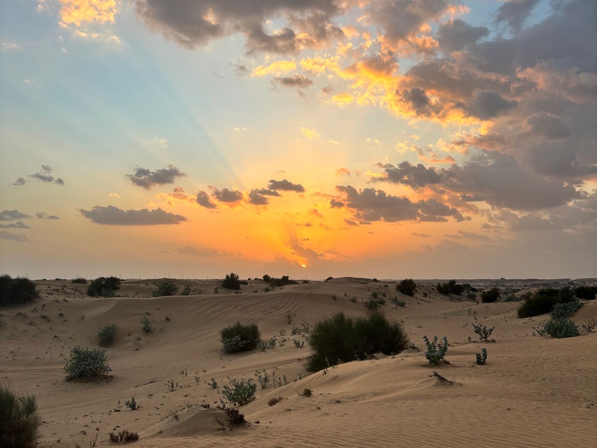 参加者のレビュー一覧) デザートサファリ（砂漠ツアー） | ドバイの観光・オプショナルツアー専門 VELTRA(ベルトラ)