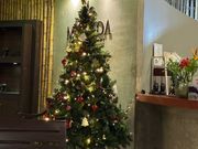 クリスマスムードでした