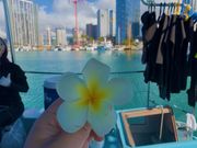 やってみたかったエホマイ