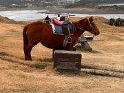城山日出峰（ソンサンイルチュルボン）