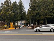 杉の林道（サリョニ林道）