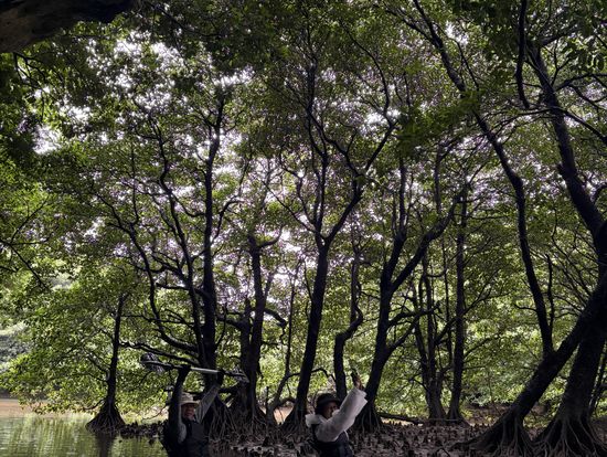 背もたれ付きで高齢者でも快適