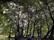 背もたれ付きで高齢者でも快適