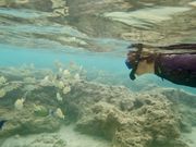 🪸珊瑚の周りにお魚いっぱい