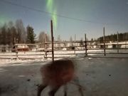 運良くオーロラも見ることができました