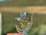 素敵な博物館で乾杯