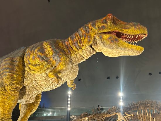 恐竜博物館