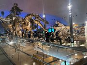 恐竜博物館