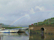 虹が見られました